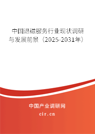 中國退磁服務行業現狀調研與發展前景（2025-2031年）