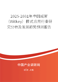 2025-2031年中國威客（Witkey）模式應用行業研究分析及發展趨勢預測報告