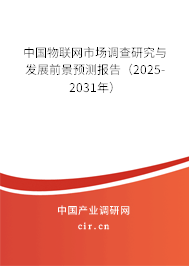 中國物聯(lián)網(wǎng)市場調(diào)查研究與發(fā)展前景預測報告（2025-2031年）
