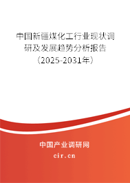 中國新疆煤化工行業(yè)現(xiàn)狀調研及發(fā)展趨勢分析報告（2025-2031年）
