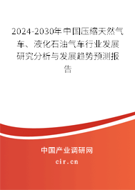 2024-2030年中國壓縮天然氣車、液化石油氣車行業發展研究分析與發展趨勢預測報告