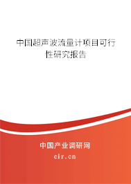 中國超聲波流量計項目可行性研究報告
