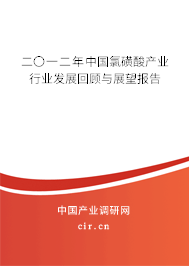 二〇一二年中國氯磺酸產業行業發展回顧與展望報告