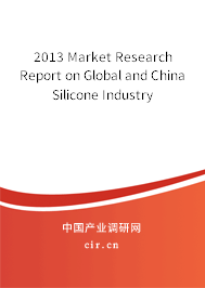 2013 Market Research Report on Global and China Silicone Industry