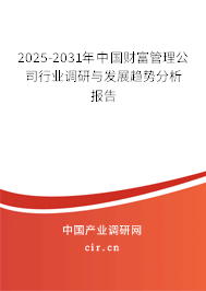 2025-2031年中國財(cái)富管理公司行業(yè)調(diào)研與發(fā)展趨勢(shì)分析報(bào)告