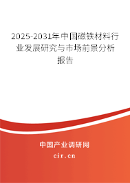 2025-2031年中國磁鐵材料行業發展研究與市場前景分析報告