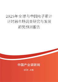 2025年全球與中國電子累計計時器市場調查研究與發展趨勢預測報告