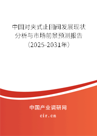 中國對夾式止回閥發展現狀分析與市場前景預測報告（2025-2031年）
