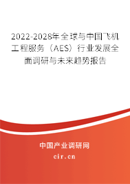 2022-2028年全球與中國飛機工程服務（AES）行業發展全面調研與未來趨勢報告
