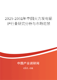 2025-2031年中國火力發電鍋爐行業研究分析與市場前景