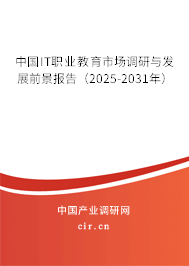 中國IT職業教育市場調研與發展前景報告（2025-2031年）
