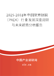 2025-2031年中國聚芳醚酮（PAEK）行業發展深度調研與未來趨勢分析報告