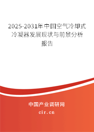 2025-2031年中國(guó)空氣冷卻式冷凝器發(fā)展現(xiàn)狀與前景分析報(bào)告