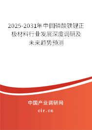 2025-2031年中國(guó)磷酸鐵鋰正極材料行業(yè)發(fā)展深度調(diào)研及未來趨勢(shì)預(yù)測(cè)