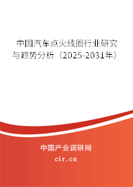 中國汽車點火線圈行業研究與趨勢分析（2025-2031年）
