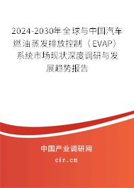 2024-2030年全球與中國汽車燃油蒸發排放控制（EVAP）系統市場現狀深度調研與發展趨勢報告