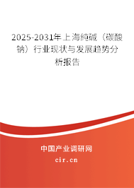 2025-2031年上海純堿（碳酸鈉）行業現狀與發展趨勢分析報告