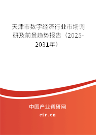 天津市數字經濟行業市場調研及前景趨勢報告（2025-2031年）