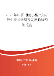 2025年中國(guó)通用小型汽油機(jī)行業(yè)現(xiàn)狀調(diào)研及發(fā)展趨勢(shì)預(yù)測(cè)報(bào)告