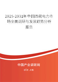 2025-2031年中國西藏電力市場(chǎng)全面調(diào)研與發(fā)展趨勢(shì)分析報(bào)告