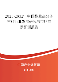 2025-2031年中國橡膠高分子材料行業發展研究與市場前景預測報告