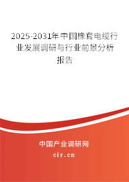2025-2031年中國橡套電纜行業發展調研與行業前景分析報告