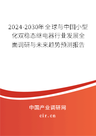 2024-2030年全球與中國小型化雙穩態繼電器行業發展全面調研與未來趨勢預測報告