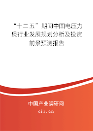 “十二五”期間中國電壓力煲行業發展規劃分析及投資前景預測報告