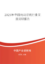 2025年中國(guó)電動(dòng)牙刷行業(yè)深度調(diào)研報(bào)告