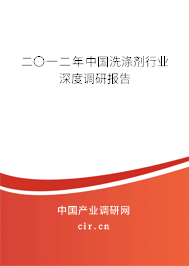 二〇一二年中國洗滌劑行業深度調研報告