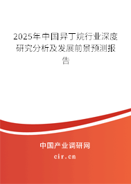 2025年中國(guó)異丁烷行業(yè)深度研究分析及發(fā)展前景預(yù)測(cè)報(bào)告
