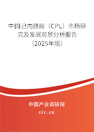 中國(guó)己內(nèi)酰胺（CPL）市場(chǎng)研究及發(fā)展前景分析報(bào)告（2025年版）