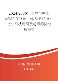 2024-2030年全球與中國ASME B73泵（ANSI B73泵）行業現狀調研及前景趨勢分析報告