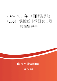 2024-2030年中國儲能系統（ESS）保險絲市場研究與發展前景報告