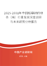 2025-2031年中國稻草制的緶條（繩）行業發展深度調研與未來趨勢分析報告