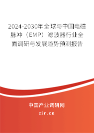 2024-2030年全球與中國電磁脈沖（EMP）濾波器行業全面調研與發展趨勢預測報告