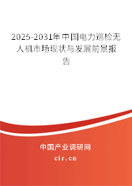 2024-2030年中國(guó)電力巡檢無(wú)人機(jī)市場(chǎng)現(xiàn)狀與發(fā)展前景報(bào)告