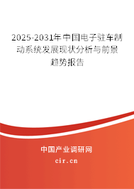 2025-2031年中國電子駐車制動系統發展現狀分析與前景趨勢報告