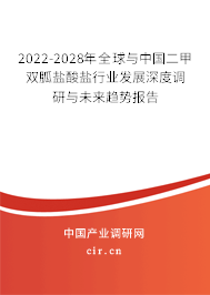 2022-2028年全球與中國二甲雙胍鹽酸鹽行業(yè)發(fā)展深度調(diào)研與未來趨勢報告