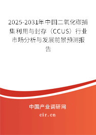 （最新）中國二氧化碳捕集利用與封存（CCUS）行業市場分析與發展前景預測報告
