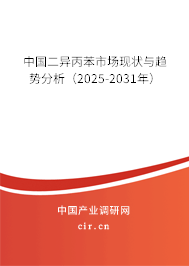 中國(guó)二異丙苯市場(chǎng)現(xiàn)狀與趨勢(shì)分析（2025-2031年）