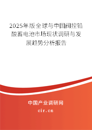 2025年版全球與中國閥控鉛酸蓄電池市場現狀調研與發展趨勢分析報告