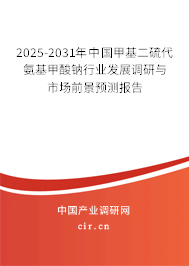 2025-2031年中國甲基二硫代氨基甲酸鈉行業(yè)發(fā)展調(diào)研與市場前景預(yù)測報告