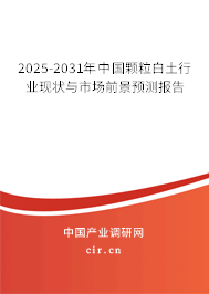 2025-2031年中國顆粒白土行業現狀與市場前景預測報告