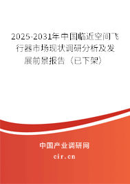 2025-2031年中國臨近空間飛行器市場現狀調研分析及發展前景報告（已下架）
