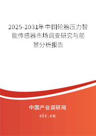 2025-2031年中國輪胎壓力智能傳感器市場調查研究與前景分析報告