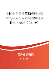 中國全自動棉花糖機行業現狀調研分析與發展趨勢研究報告（2025-2031年）