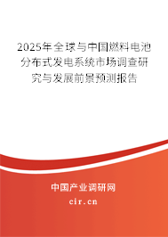 2025年全球與中國燃料電池分布式發電系統市場調查研究與發展前景預測報告