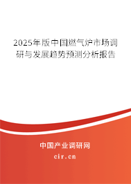 2025年版中國燃氣爐市場調研與發展趨勢預測分析報告