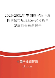2025-2031年中國(guó)數(shù)字超聲波探傷儀市場(chǎng)現(xiàn)狀研究分析與發(fā)展前景預(yù)測(cè)報(bào)告